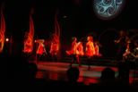 dsc00597.jpg