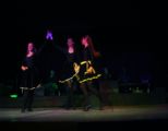 dsc03991.jpg